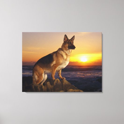 Duitse herdershond canvas afdruk (Voorkant)