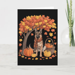 Duitse Herdershond Herfst Sjaal Pompoen Herfst Dan Kaart