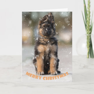 Duitse herdershond met kerst. kaart