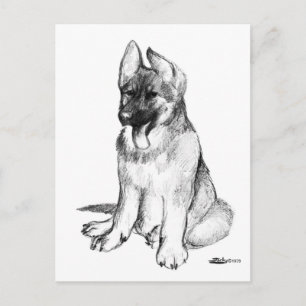 Duitse Herdershond Puppy Briefkaart