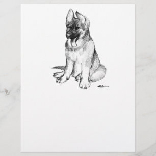Duitse Herdershond Puppy Flyer