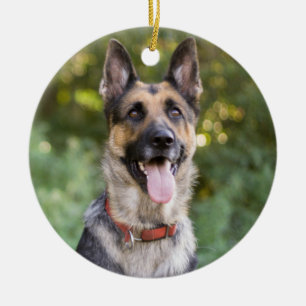 Duitse Herdershond Puppy Hond Keramisch Ornament