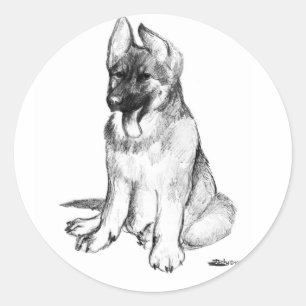 Duitse Herdershond Puppy Ronde Sticker