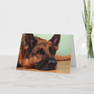 Duitse herderskaart kaart