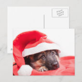 Duitse herderspuppy briefkaart (Voorkant / Achterkant)