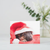 Duitse herderspuppy briefkaart (Staand voorkant)