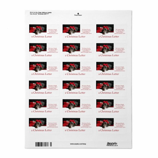 Duitse horthaired pointer bij fireplace etiket (Full Sheet)