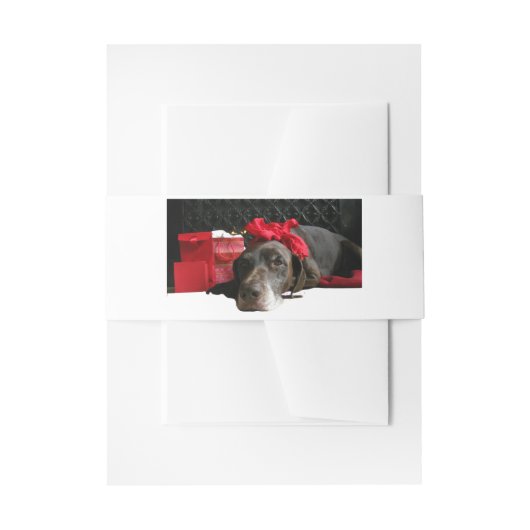 Duitse horthaired pointer bij fireplace uitnodigingen wikkel (Voorkant Voorbeeld)