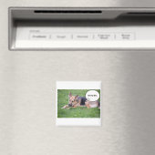 Duitse Humor Shepherd Magneet (Insitu (Vaatwasser))