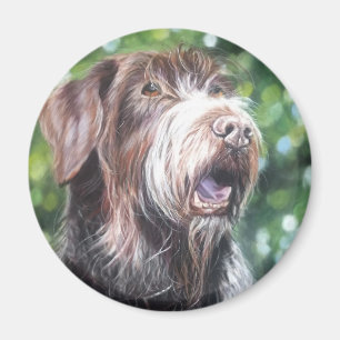 Duitse jachthond met wirehair pointer magneet