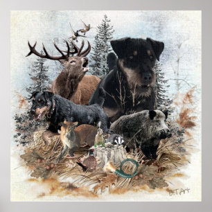 Duitse Jachtterriër (Jagdterrier) Poster