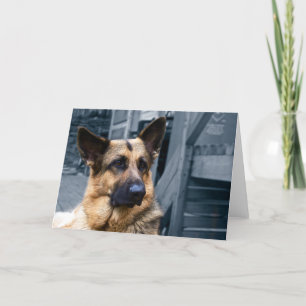 Duitse Kaart Shepherd