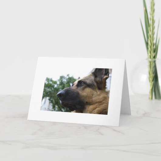 Duitse Kaart Shepherd (Voorkant)