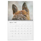 Duitse kalender Shepherd 2015 (Feb 2027)