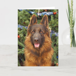 Duitse kerstKaart Shepherd Feestdagen Kaart