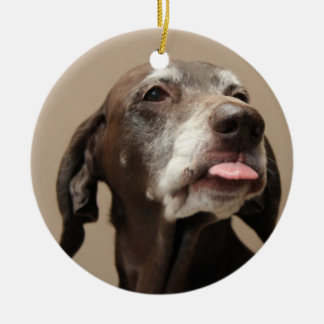 Duitse Korthaired pointer kerst ornament