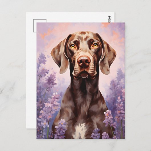 Duitse kortharige pointer in Lavendel veld Briefkaart (Voorkant / Achterkant)