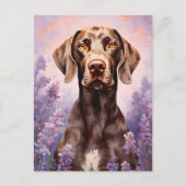Duitse kortharige pointer in Lavendel veld Briefkaart (Voorkant)