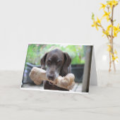 Duitse kortharige pointer met bot kaart (Gele Bloem)