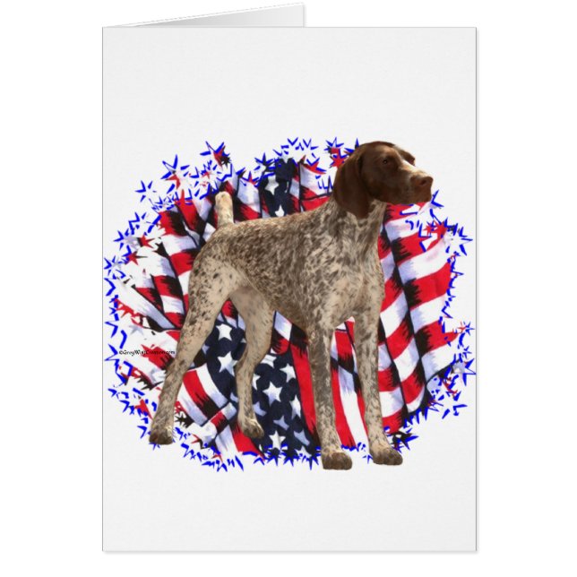 Duitse kortharige pointer patriot (Voorkant)