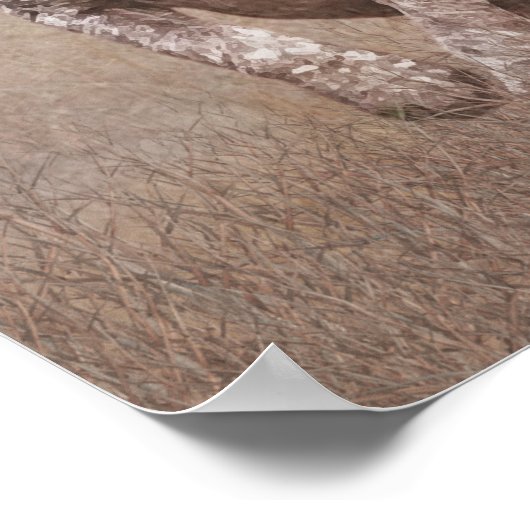 Duitse kortharige pointer puppy poster (Hoek)