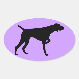 Duitse kortharige pointer Stickers