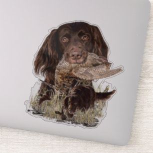 Duitse langharige aanwijzer sticker