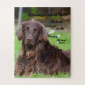 Duitse Langharige Pointer Legpuzzel (Verticaal)