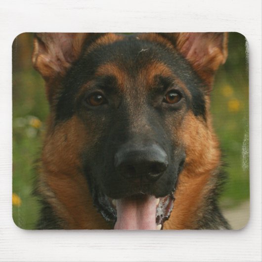 Duitse Muismat Shepherd (Voorkant)