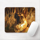 Duitse Muismat Shepherd (Met muis)