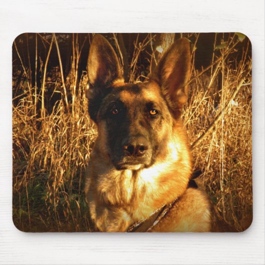 Duitse Muismat Shepherd (Voorkant)