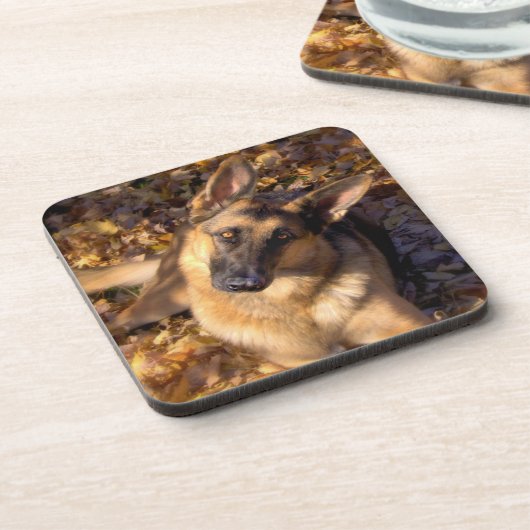 Duitse Onderzetter Shepherd set (Linkerzijde)