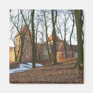 Duitse Orde kasteel Neidenburg - Magneet