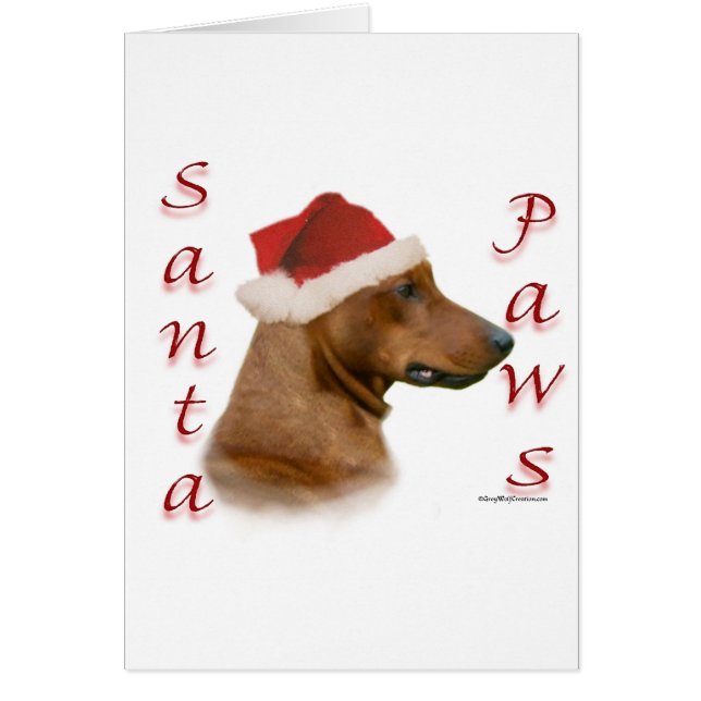 Duitse Pinscher Santa Paws (Voorkant)