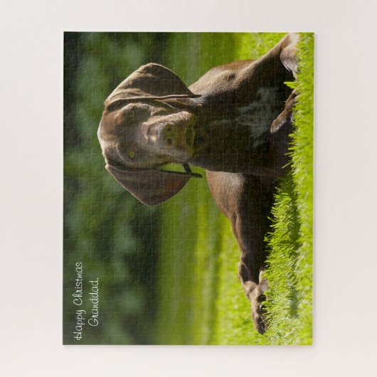 Duitse Pointer Dog. Legpuzzel (Verticaal)