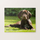 Duitse Pointer Dog. Legpuzzel (Horizontaal)