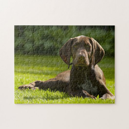 Duitse Pointer Dog. Legpuzzel (Horizontaal)
