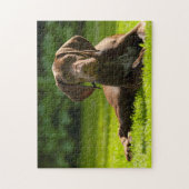 Duitse Pointer Dog. Legpuzzel (Verticaal)