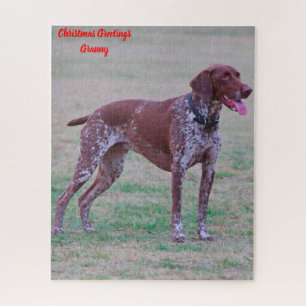 Duitse Pointer Legpuzzel