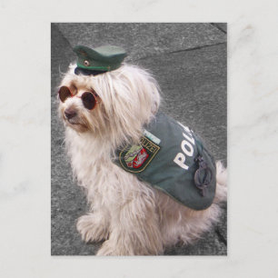 Duitse politie doet handboeien aan briefkaart