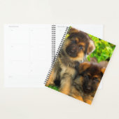 Duitse Puppies van schapen Planner (Display)