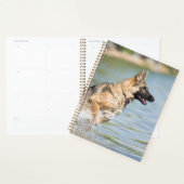 Duitse schaapherreepjes in water planner (Display)