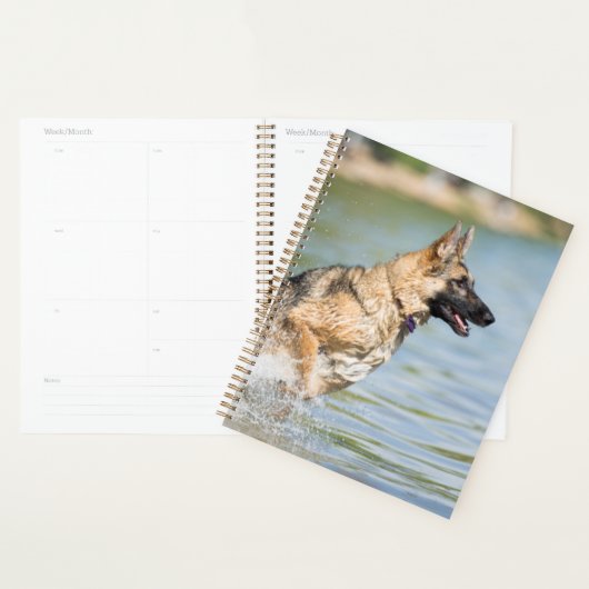 Duitse schaapherreepjes in water planner (Display)