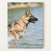 Duitse schaapherreepjes in water planner (Achterkant)