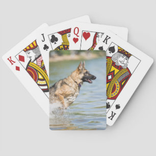 Duitse schaapherreepjes in water pokerkaarten