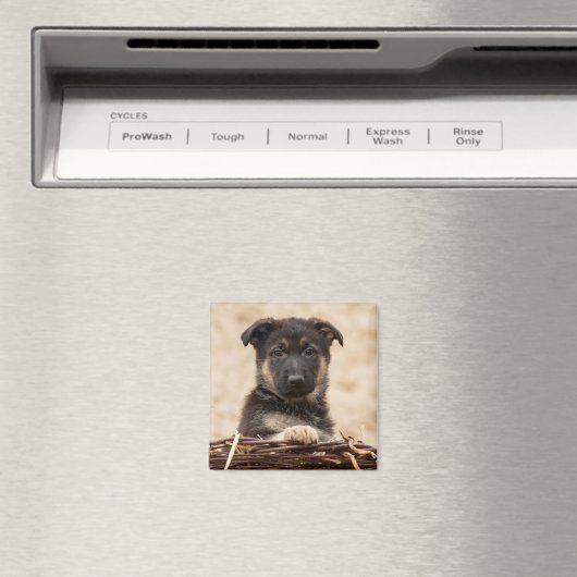 Duitse schapenhouderij in mandje magneet (Insitu (Vaatwasser))