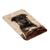 Duitse schapenhouderij in mandje magneet (Rechterzijde)