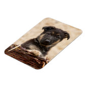 Duitse schapenhouderij in mandje magneet (Linkerzijde)