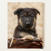 Duitse schapenhouderij in mandje planner (Achterkant)