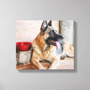 Duitse schapenhouderij met waterbekken canvas afdruk